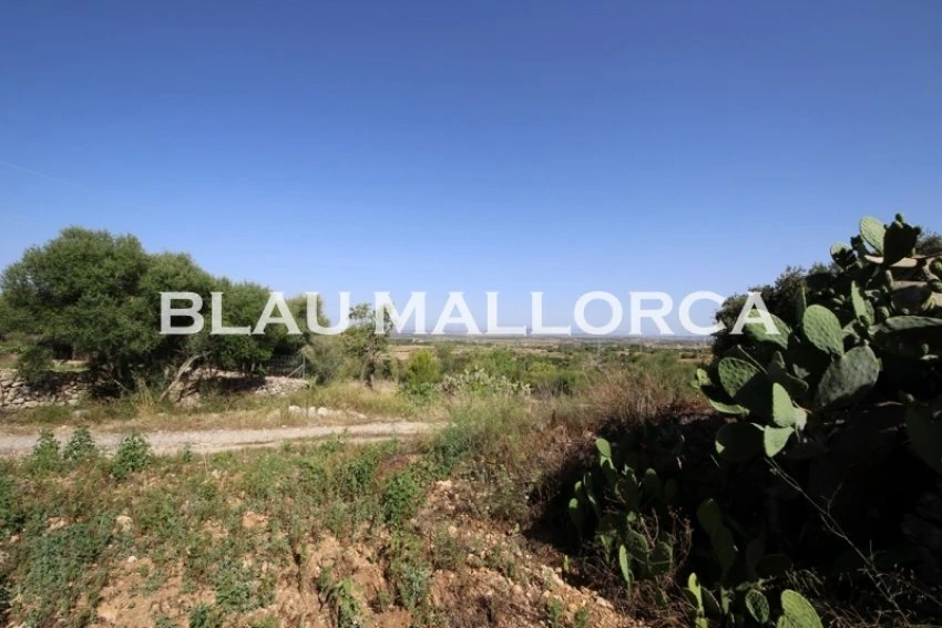 Sale Rustic houses Manacor