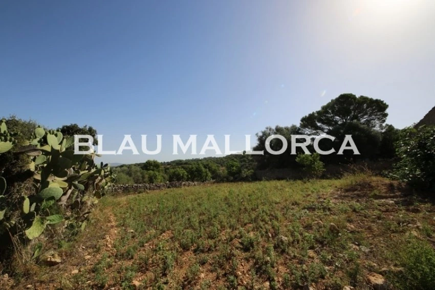 Sale Rustic houses Manacor