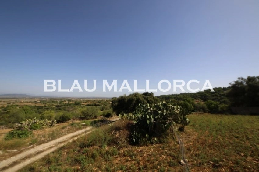 Sale Rustic houses Manacor
