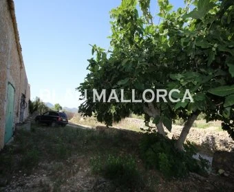 Sale Rustic houses Manacor