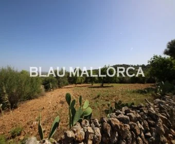 Sale Rustic houses Manacor