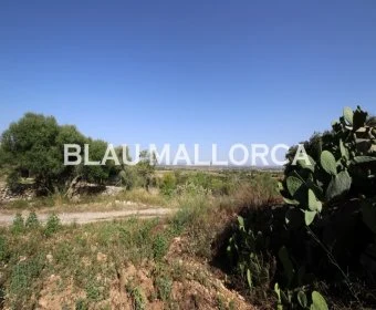 Sale Rustic houses Manacor