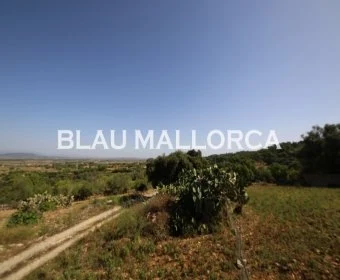 Sale Rustic houses Manacor