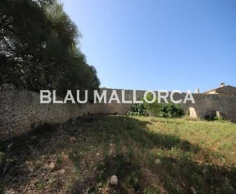 Sale Rustic houses Manacor
