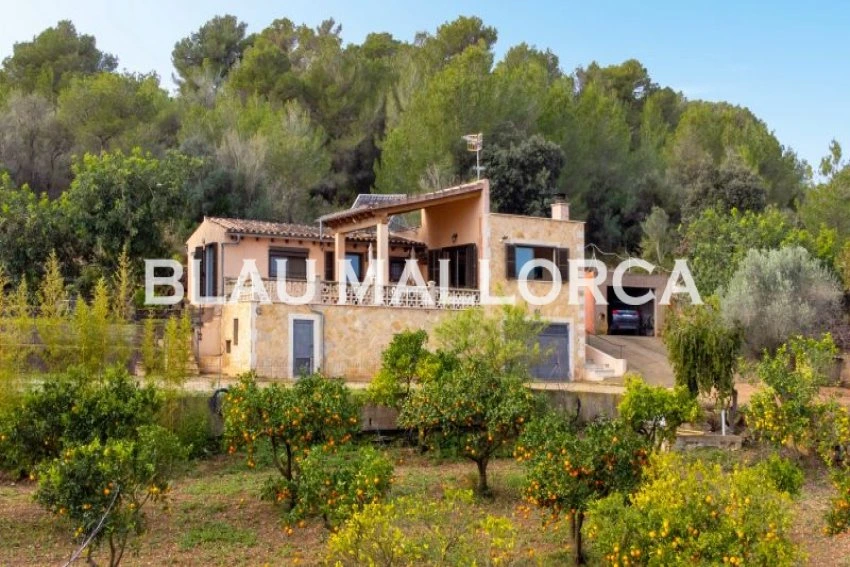 Sale Rustic houses Son Servera