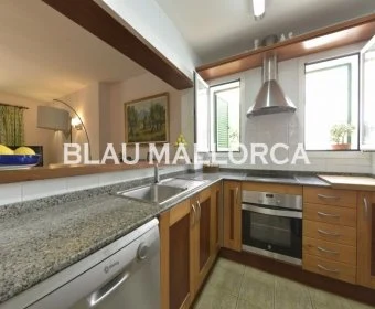 Sale Houses Sa Rapita