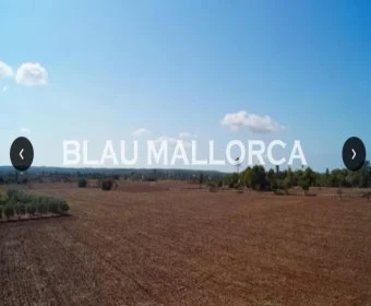 Sale Rustic houses Campos