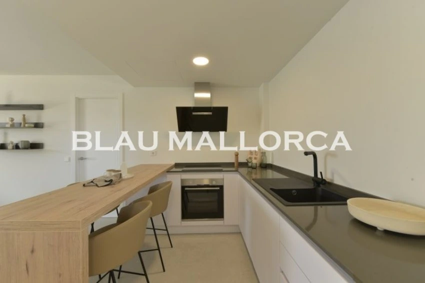 Sale Apartments Sa Rapita