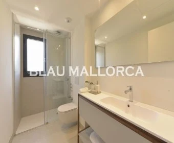 Sale Apartments Sa Rapita