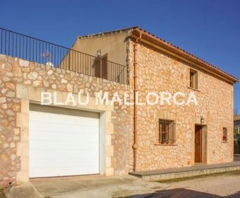 Sale Houses Son Carrio