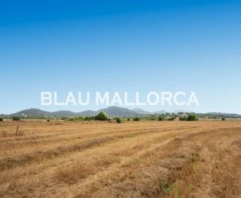 Sale Rustic houses Manacor