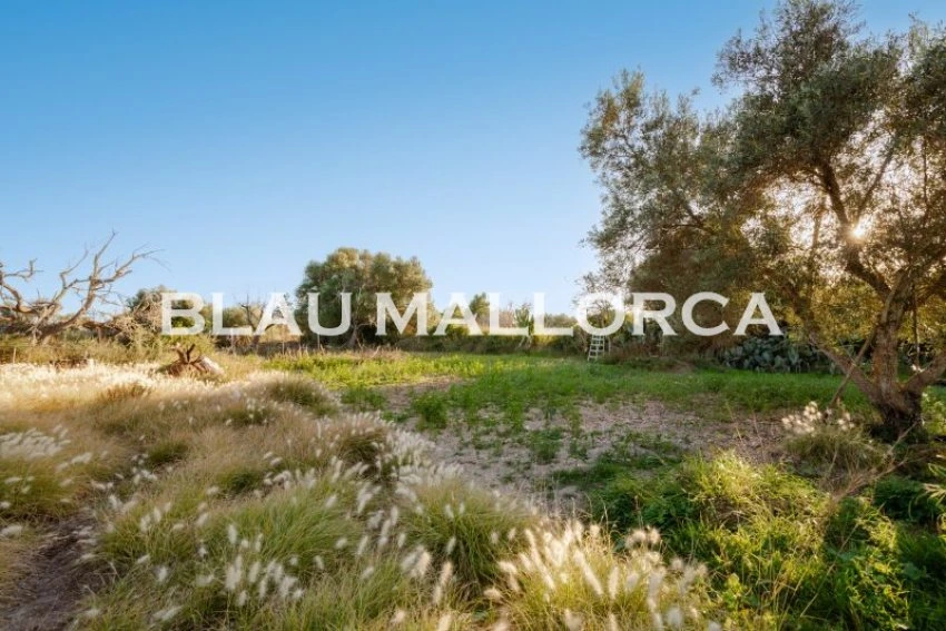 Sale Rustic houses Costa de los Pinos