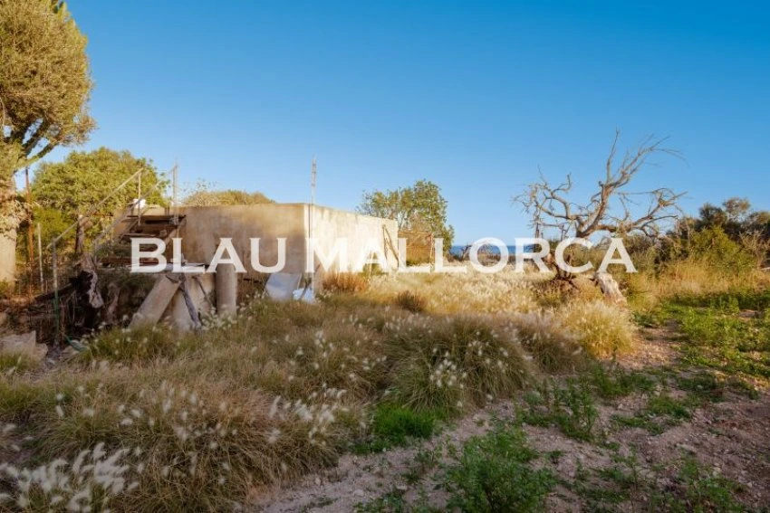 Sale Rustic houses Costa de los Pinos