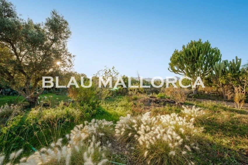 Sale Rustic houses Costa de los Pinos