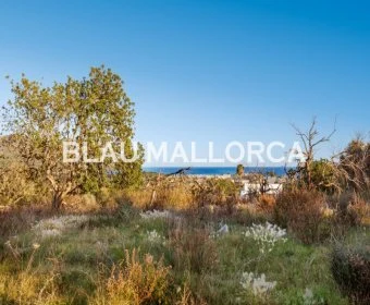 Sale Rustic houses Costa de los Pinos