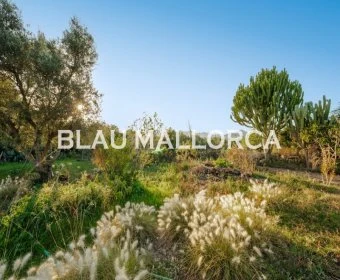 Sale Rustic houses Costa de los Pinos