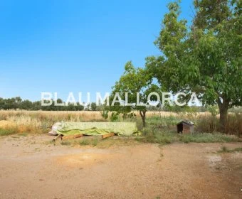 Sale Rustic houses Manacor