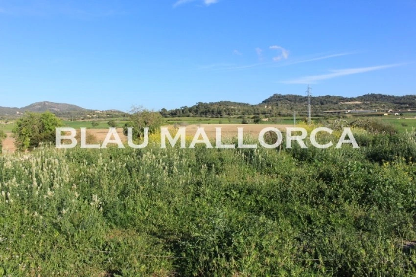 Sale Rustic houses Felanitx