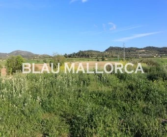 Sale Rustic houses Felanitx