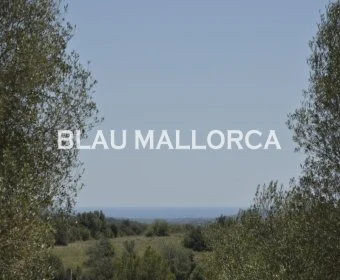 Sale Rustic houses Manacor