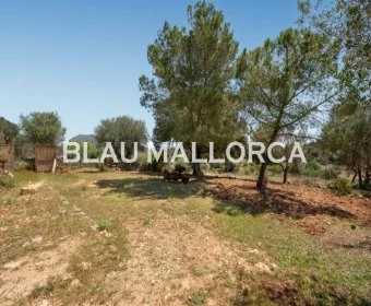 Sale Rustic houses Manacor