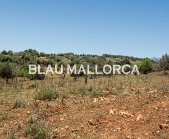 Sale Rustic houses Manacor