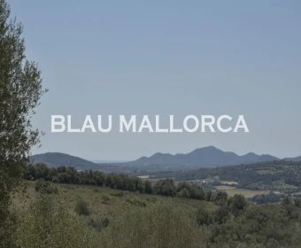 Sale Rustic houses Manacor