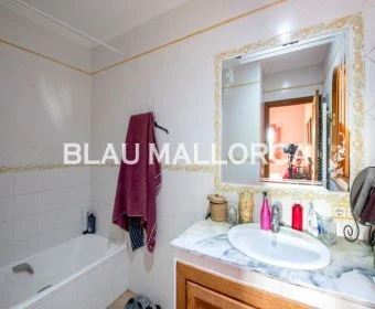 Sale Rustic houses Manacor