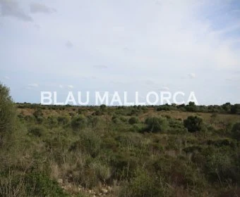 Venta Terrenos Porto Cristo