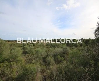 Venta Terrenos Porto Cristo
