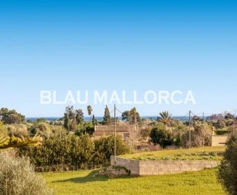 Sale Rustic houses Son Servera