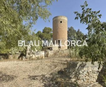 Sale Rustic houses Manacor