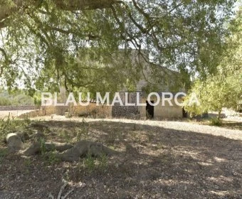 Sale Rustic houses Manacor