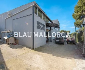 Sale Commercial premises Alcúdia