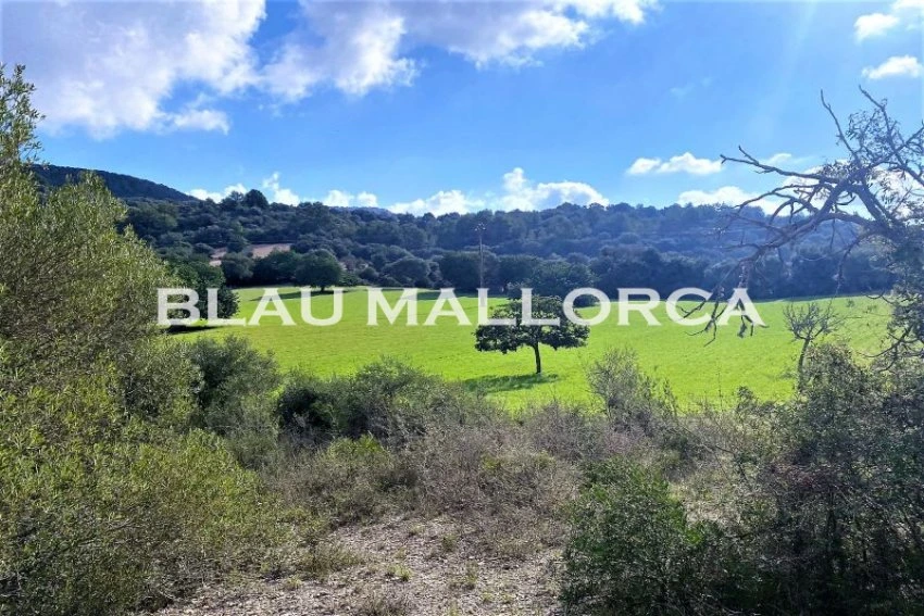 Sale Rustic houses Son Macia