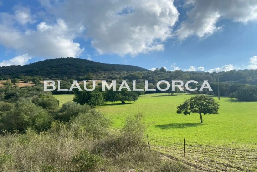 Sale Rustic houses Son Macia