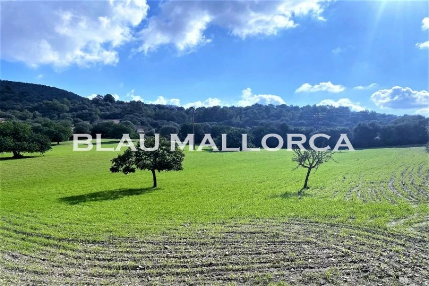 Sale Rustic houses Son Macia