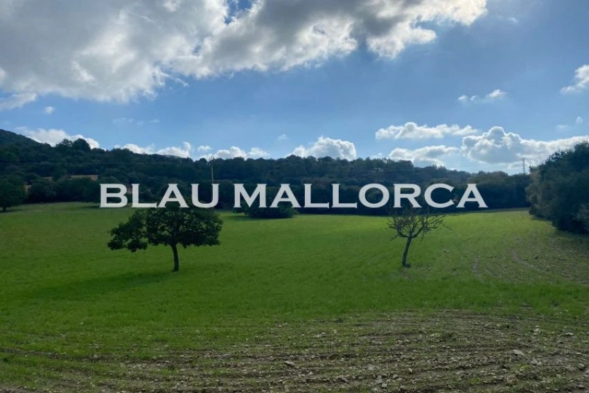 Sale Rustic houses Son Macia