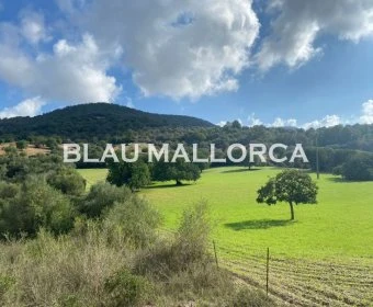 Sale Rustic houses Son Macia