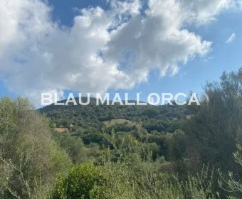 Sale Rustic houses Son Macia