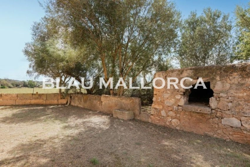 Sale Rustic houses Manacor