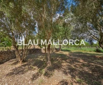 Sale Rustic houses Manacor