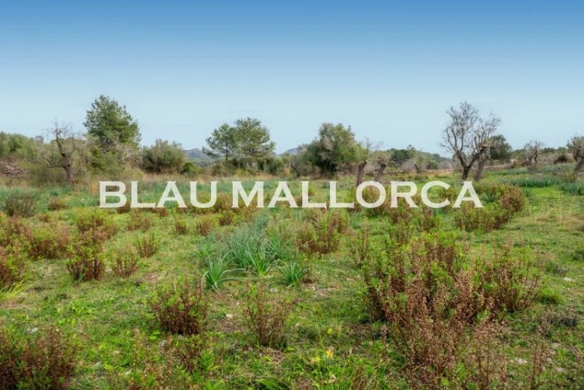 Sale Rustic houses Artá