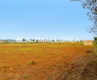 Venta Terrenos Porto Cristo