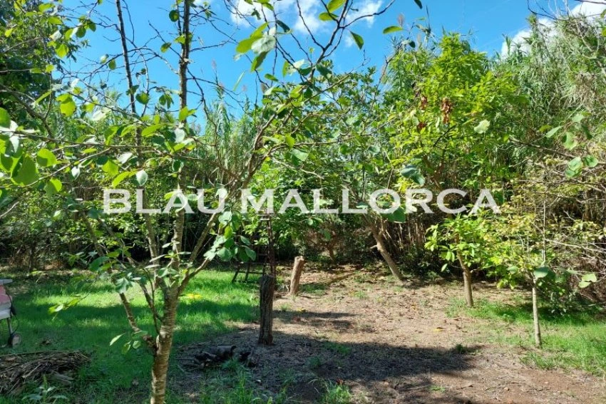 Venta Terrenos Capdepera