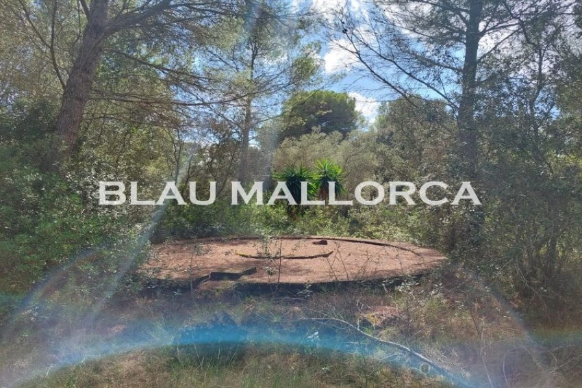 Venta Terrenos Capdepera