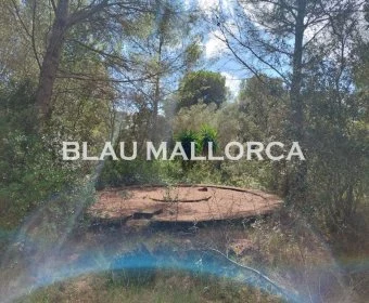 Venta Terrenos Capdepera