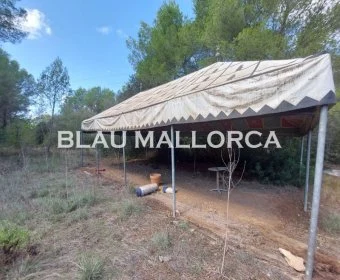 Venta Terrenos Capdepera
