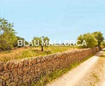 Sale Lands Calas de Mallorca