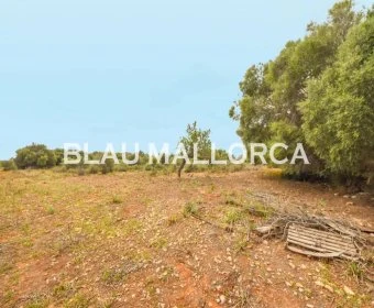 Sale Lands Calas de Mallorca